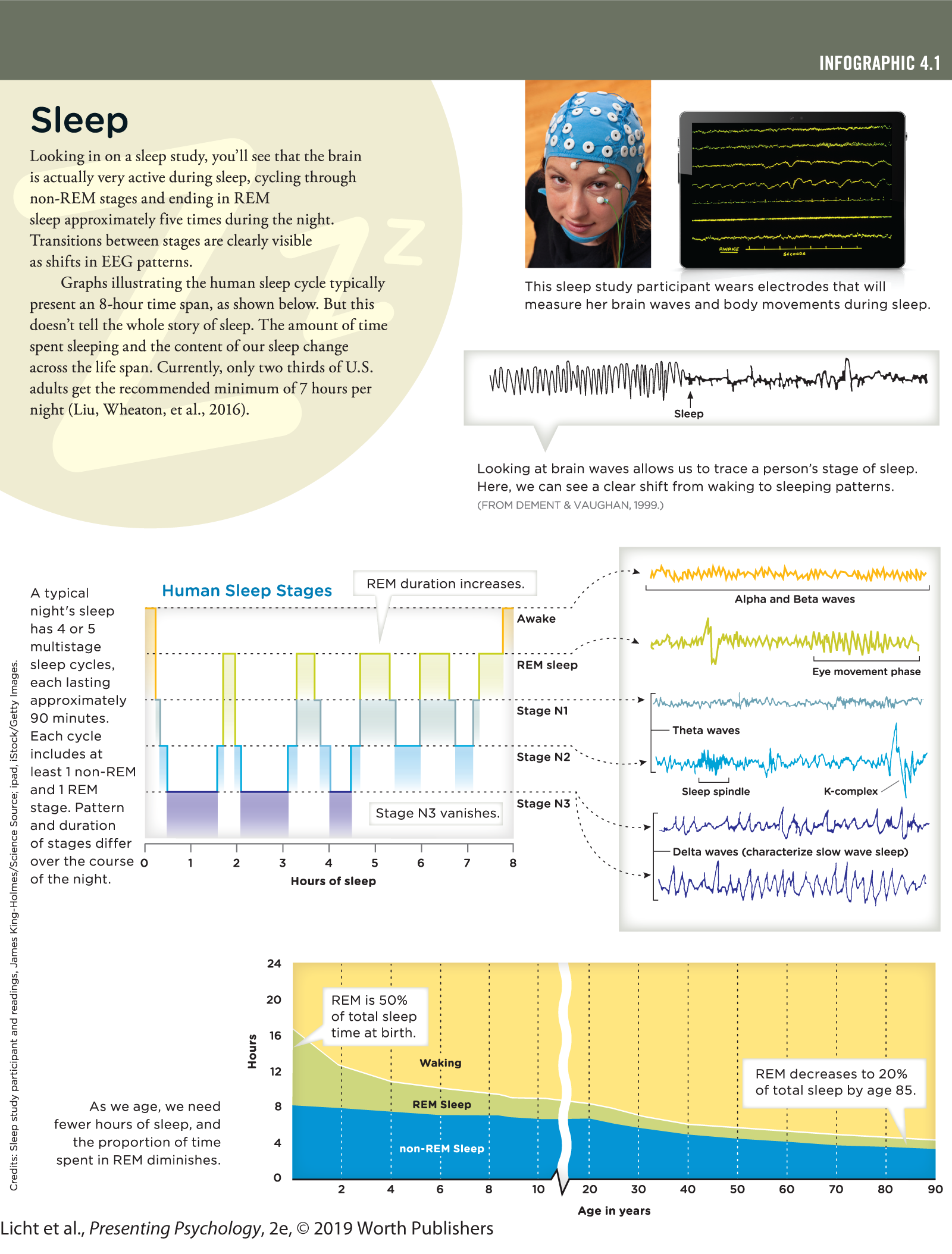 An infographic titled, Sleep demonstrates the phenomenon of sleep through brainwaves and human sleep stages. You can read full description from the link below
