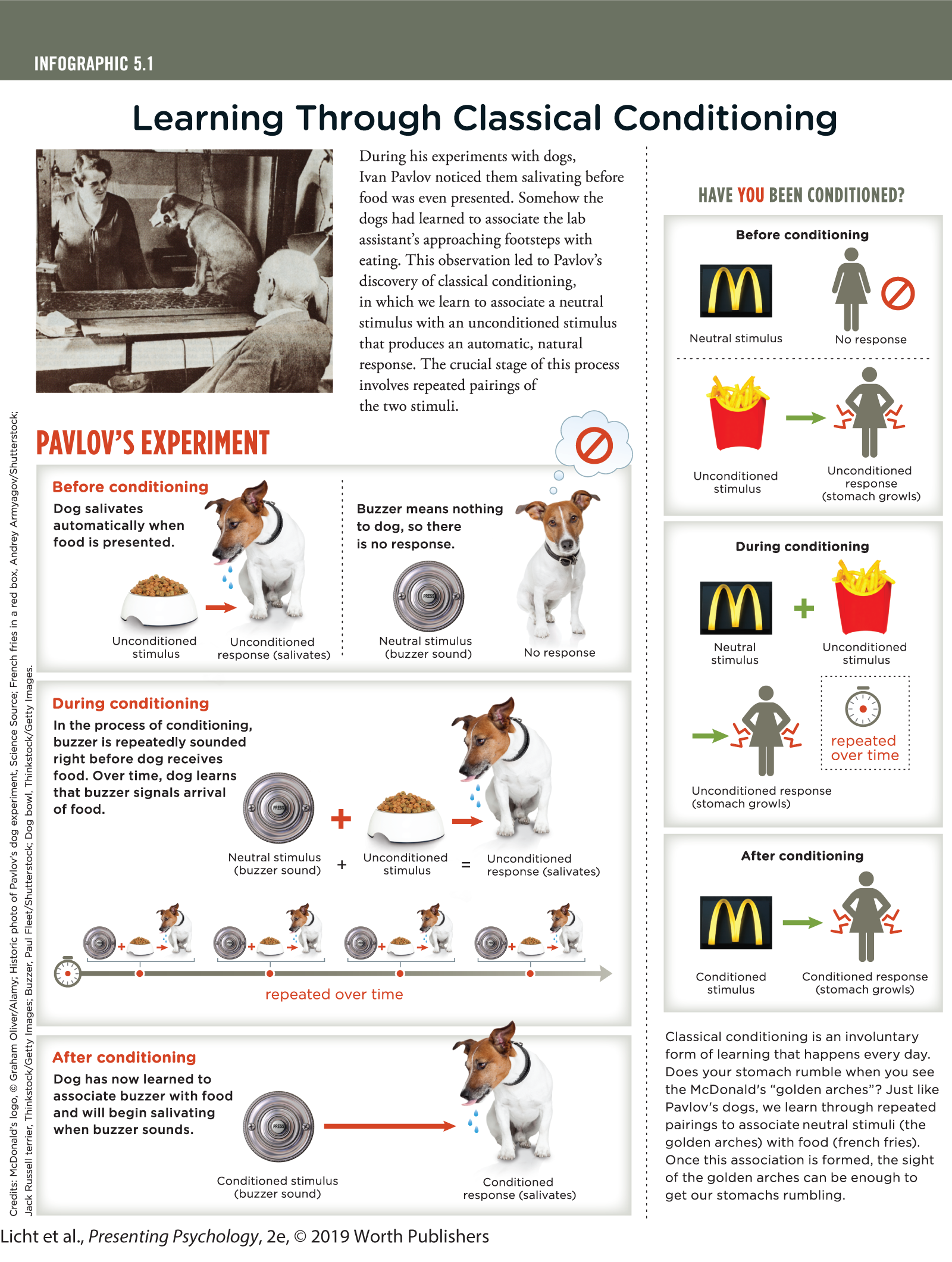 An infographic titled, Learning Through Classical Conditioning explains the Pavlov’s experiment on dogs concerning the effects of different stimuli before, during, and after conditioning. You can read full description from the link below
