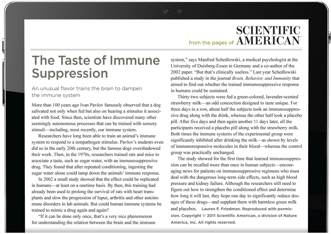 From the pages of Scientific American. The Taste of Immune Suppression. An unusual flavor trains the brain to dampen the immune system. More than 100 years ago Ivan Pavlov famously observed that a dog salivated not only when fed but also on hearing a stimulus it associated with food. Since then, scientists have discovered many other seemingly autonomous processes that can be trained with sensory stimuli—including, most recently, our immune system. Researchers have long been able to train an animal’s immune system to respond to a nonpathogen stimulus. Pavlov’s students even did so in the early 20th century, but the famous dogs overshadowed their work. Then, in the 1970s, researchers trained rats and mice to associate a taste, such as sugar water, with an immunosuppressive drug. They found that after repeated conditioning, ingesting the sugar water alone could tamp down the animals’ immune response. In 2002 a small study showed that the effect could be replicated in humans—at least on a onetime basis. By then, this training had already been used to prolong the survival of rats with heart transplants and slow the progression of lupus, arthritis and other autoimmune disorders in lab animals. But could human immune systems be trained to mimic a drug again and again? “If it can be done only once, that’s a very nice phenomenon for understanding the relation between the brain and the immune system,” says Manfred Schedlowski, a medical psychologist at the University of Duisberg-Essen in Germany and a co-author of the 2002 paper. “But that’s clinically useless.” Last year Schedlowski published a study in the journal Brain, Behavior, and Immunity that aimed to find out whether the trained immunosuppressive response in humans could be sustained. Thirty-two subjects were fed a green-colored, lavender-scented strawberry milk—an odd concoction designed to taste unique. For three days in a row, about half the subjects took an immunosuppressive drug along with the drink, whereas the other half took a placebo pill. After five days and then again another 11 days later, all the participants received a placebo pill along with the strawberry milk. Both times the immune systems of the experimental group were significantly inhibited after drinking the milk—as shown by levels of immunoresponsive molecules in their blood—whereas the control group was practically unchanged. The study showed for the first time that learned immunosuppression can be recalled more than once in human subjects—encouraging news for patients on immunosuppressive regimens who must deal with the dangerous long-term side effects, such as high blood pressure and kidney failure. Although the researchers still need to figure out how to strengthen the conditioned effect and determine how long it will last, they hope one day to significantly reduce dosages of these drugs—and supplant them with harmless green milk and placebos. The author is Lauren F. Friedman. Reproduced with permission. Copyright 2011 Scientific American, a division of Nature America, Inc. All rights reserved.