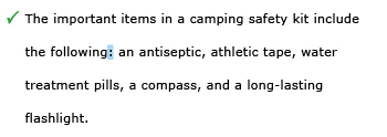 Correct example sentence: The important items in a camping safety kit include the following: an antiseptic, athletic tape, water treatment pills, a compass, and a long-lasting flashlight.