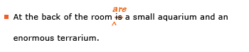 Example sentence with editing. Original sentence: At the back of the room is a small aquarium and an enormous terrarium. Revised sentence: At the back of the room are a small aquarium and an enormous terrarium. Explanation: The word 'is' has been replaced by 'are.'