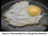 Image. Photograph of an egg frying sunny-side up in a frying pan. Source Partnership for a Drug-free America.
