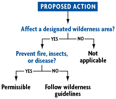 Figure. Flowchart. This sample shows the outcomes of a proposed action to affect a designated wilderness area.